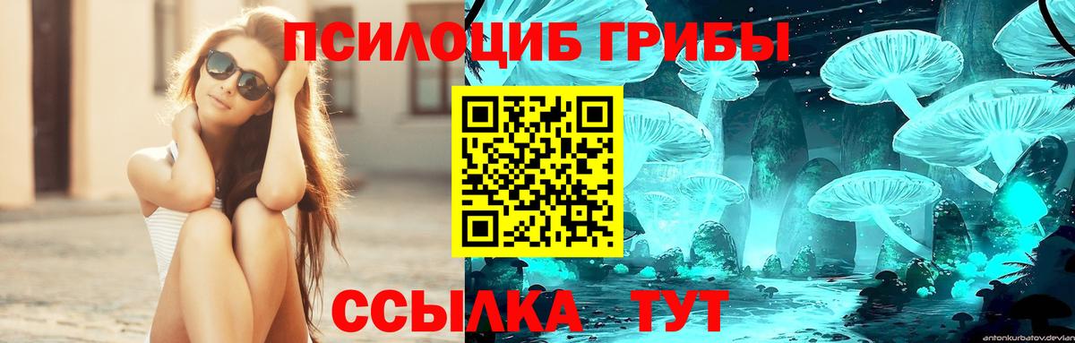 Галлюциногенные грибы прущие грибы Избербаш